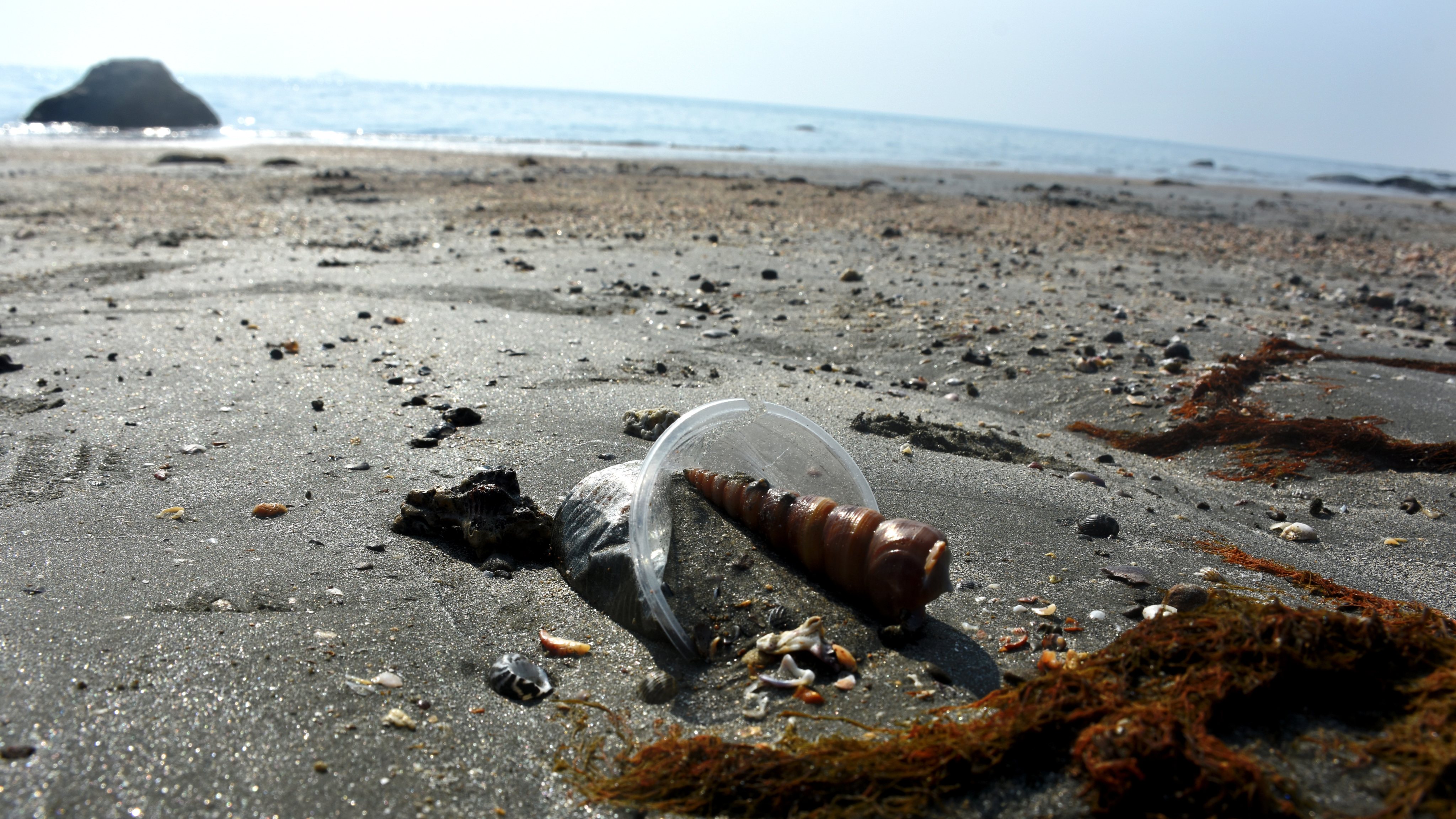 Pollution in marine protected area in Bangladesh