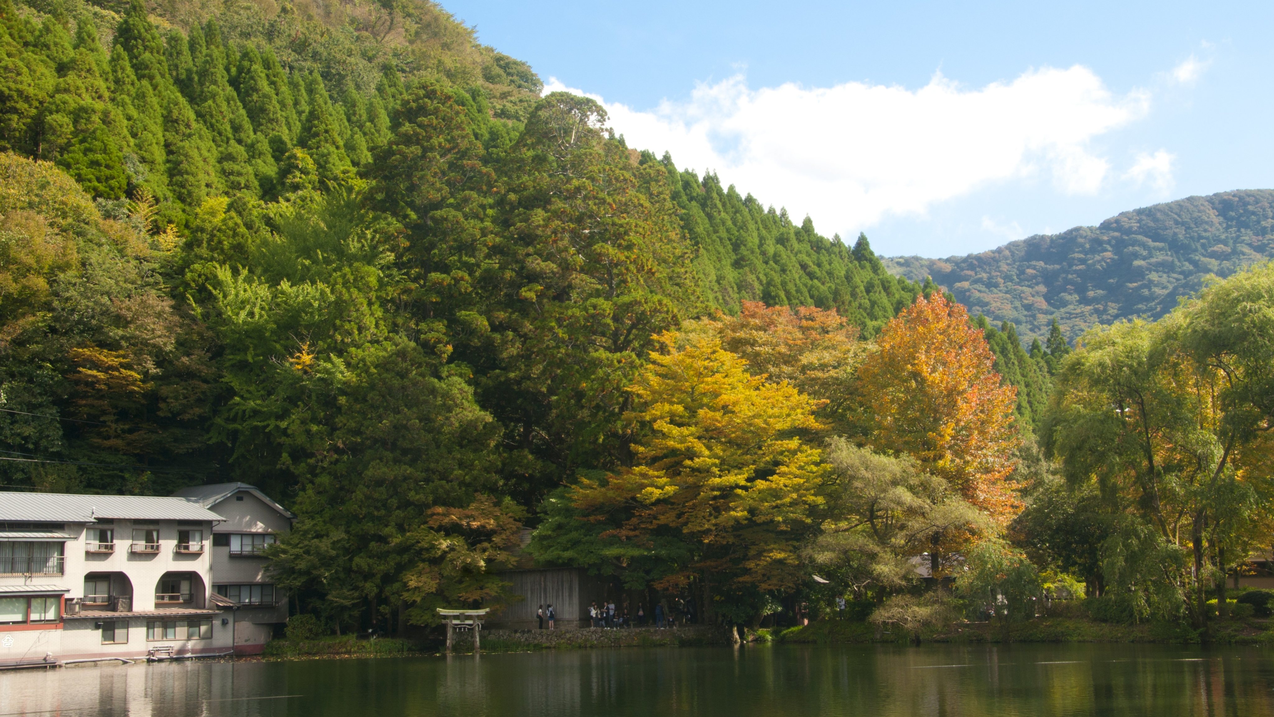 Autumn leaves at Kinrin Lake, Yufuin, Oita District, Kyushu.