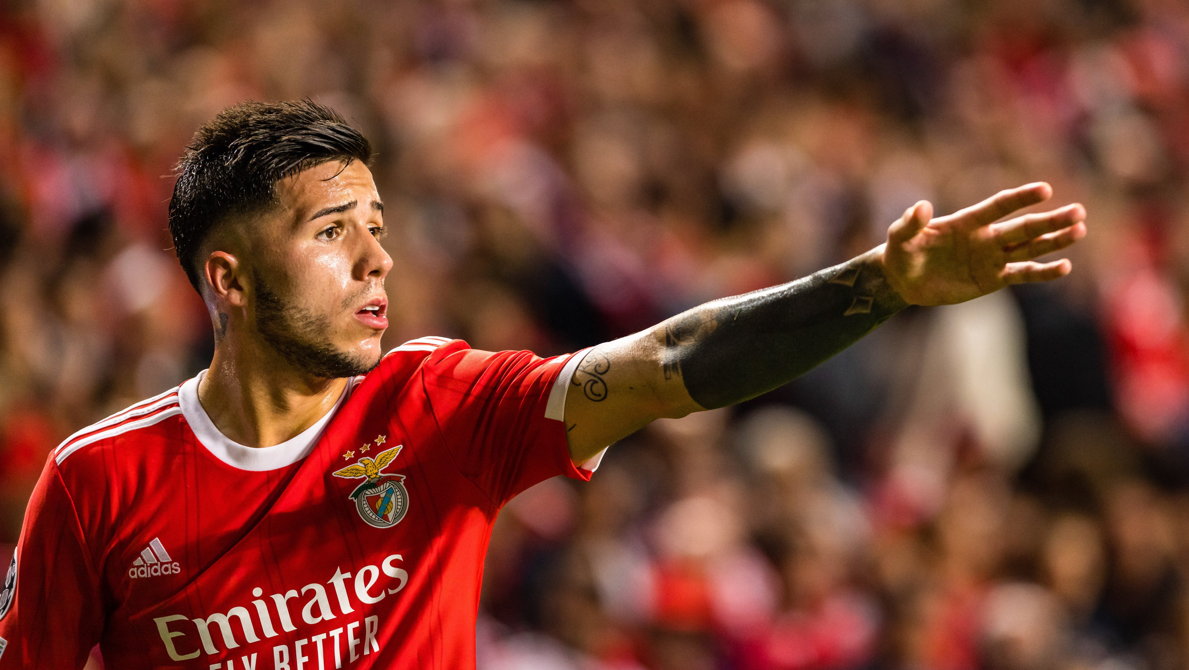 Enzo Fernandez of SL Benfica reacts during the UEFA