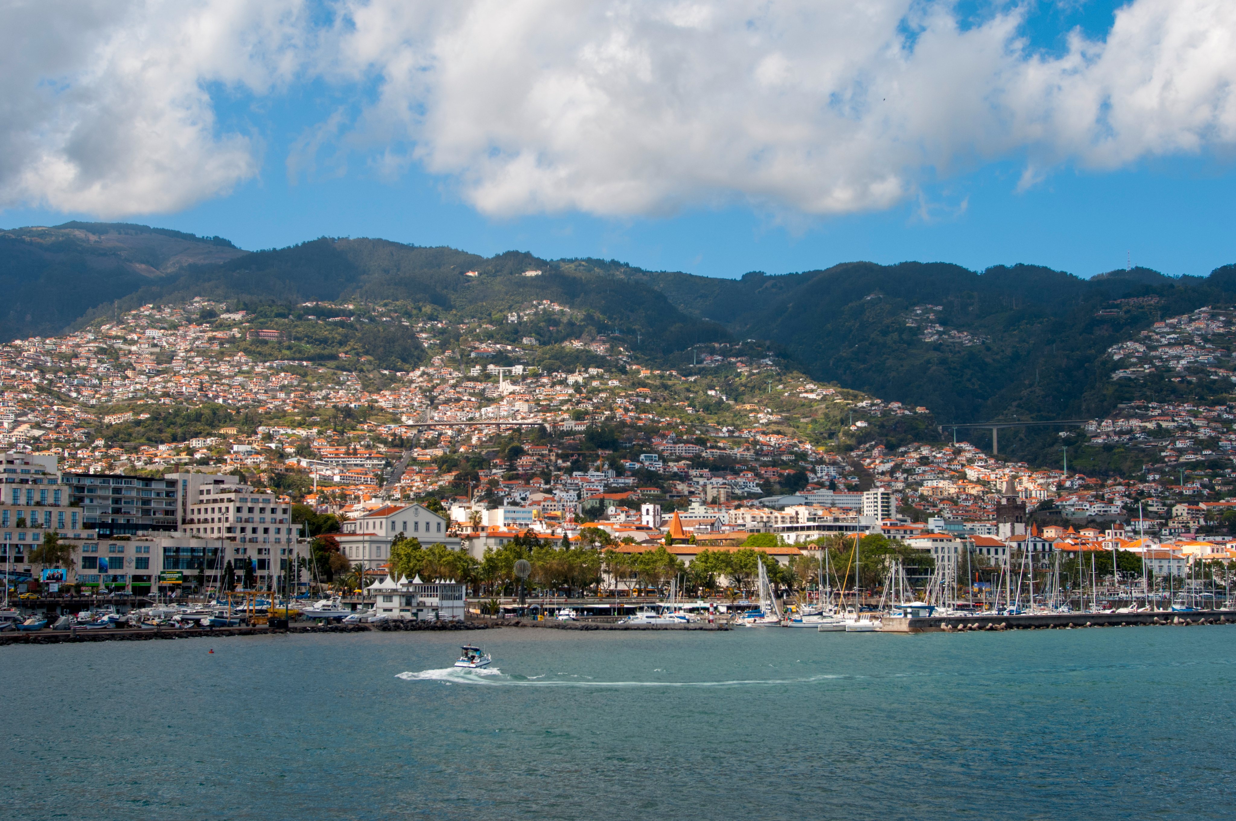 Funchal aprova apoios municipais ao comércio num montante superior a 65 mil euros