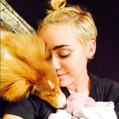 Miley Cyrus Instagram 5