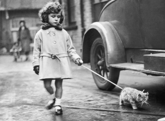 2nd December 1931:  A young exhibitor arrives with her kitten on a lead at the National Cat Club show at Crystal Palace, London.  (Photo by Fox Photos/Getty Images)
