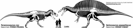Tyrannosaurus_rex_vs._Spinosaurus_aegyptiacus