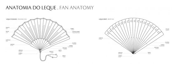 anatomia-horizontal