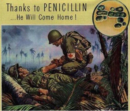 ed-lesson-penicillin-ad