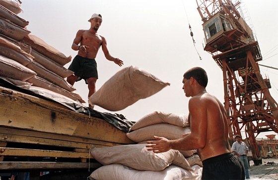 SANTOS, BRAZIL:  Workers at the Santos Port, 90kms (55 miles) southeast of Sao Paulo, unload sugar sacks for export 13 September. The privatization of the docks at Santos Port, the largest in Latin America, will begin 17 September at the Sao Paulo Stock Exchange with the auction of the Containers Terminal (TECON). The bid for TECON reportedly will start at 92 million USD. It is expected that by the end of 1997 all the docks at the port will be privatized. Official figures say that in 1996 some 36 million tons of material passed through the port, representing 35 percent of Brazil's import-export business.   AFP PHOTO/Marie HIPPENMEYER (Photo credit should read MARIE HIPPENMEYER/AFP/Getty Images)