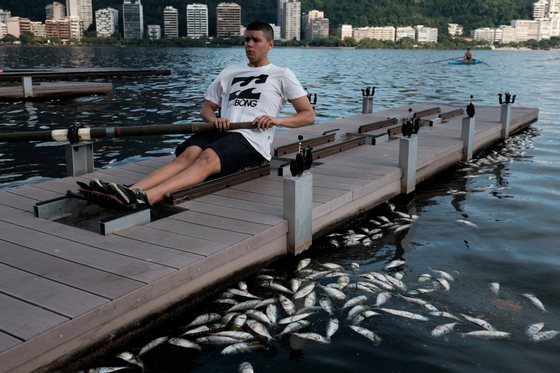 Members of a local rowing club practice among floating dead fish at the Rodrigo de Freitas Lagoon that will host rowing and canoeing events during Rio 2016 Olympic Games in Rio de Janeiro, Brazil, on April 16, 2015. Workers of  Rio de Janeiros Municipal Cleaning Company (Comlurb) have already collected 37,4 tons of dead fish in a week.  AFP PHOTO / YASUYOSHI CHIBA        (Photo credit should read YASUYOSHI CHIBA/AFP/Getty Images)
