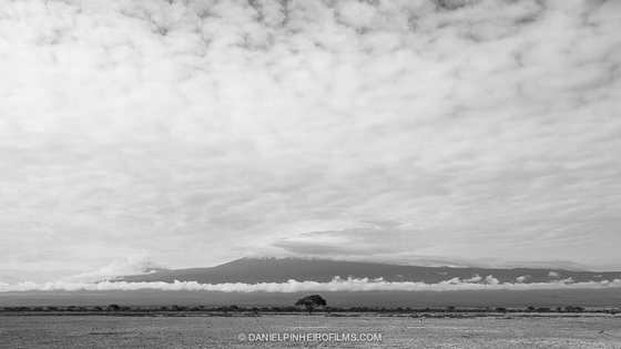 O monte Kilimanjaro, na TanzÃ¢nia, visto do QuÃ©nia - @ Daniel Pinheiro