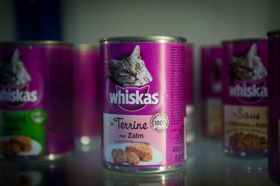 TO GO WITH STORY BY EMMANUELLE MICHEL. A picture taken on May 27, 2015 shows Mars Petcare and Foods products at the Mars headquarters in-Saint Denis-de-l'Hotel. The Mars Petcare and Foods company produces pet food and distributes brands such as Whiskas, Sheba, Pedigree, Kitekat, Royal Canin. AFP PHOTO / GUILLAUME SOUVANT        (Photo credit should read GUILLAUME SOUVANT/AFP/Getty Images)