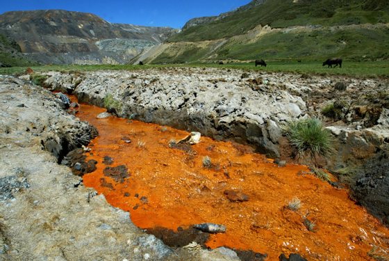 TO GO WITH AFP STORY Cows graze next to the Tingo Palca river, polluted by oxidizing agents used by the Paragsha strip mine, which belongs to Volcan Co., in Cerro de Pasco, more than 300 kilometres east from Lima and 4,380 meters above sea level, on May 02, 2007. The tainted waters are already polluted by the oxidizing agents used in the mineral extraction process employed by the mine, located in the middle of the city. In 1973 the mine belonged to state-owned Centromin Peru Co., and since 1999 Volcan Co. operates it extracting zinc, silver and lead. Recent medical surveys on children living near the mine have shown that they present blood lead levels over the maximum allowed by the WHO (10 micrograms/dl). Members of the Health Ministry and city residents have recently denounced that no effective measures to counter the environmental problem have been taken so far. AFP PHOTO/MARCO GARRO-----MORE PICTURES IN IMAGE FORUM (Photo credit should read MARCO GARRO/AFP/Getty Images)