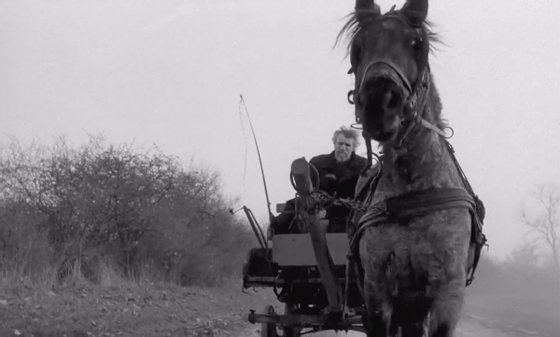 O cavalo de Turim (A torinÃ³i lÃ³), filme de 2011 do realizador hÃºngaro BÃ©la Tarr