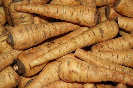 PARSNIP definição e significado