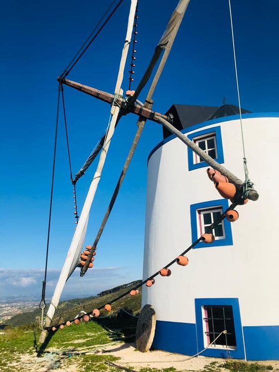 Moinhos do Oeste MONTEJUNTO & Arredores