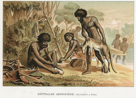 Australian natives preparing meal from animal they have hunted.
