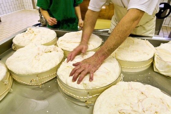 Italy. Aosta Valley. Aosta. Fontina Cheese Making