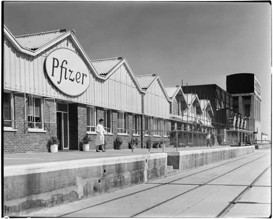 Pfizer Pharmaceutical Plant