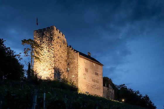 As origens, o poder e a derrota dos Habsburgos: uma história dos