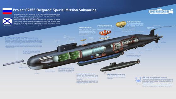 ComposiÃ§Ã£o do submarino Belgorod, segundo o MinistÃ©rio da Defesa russo