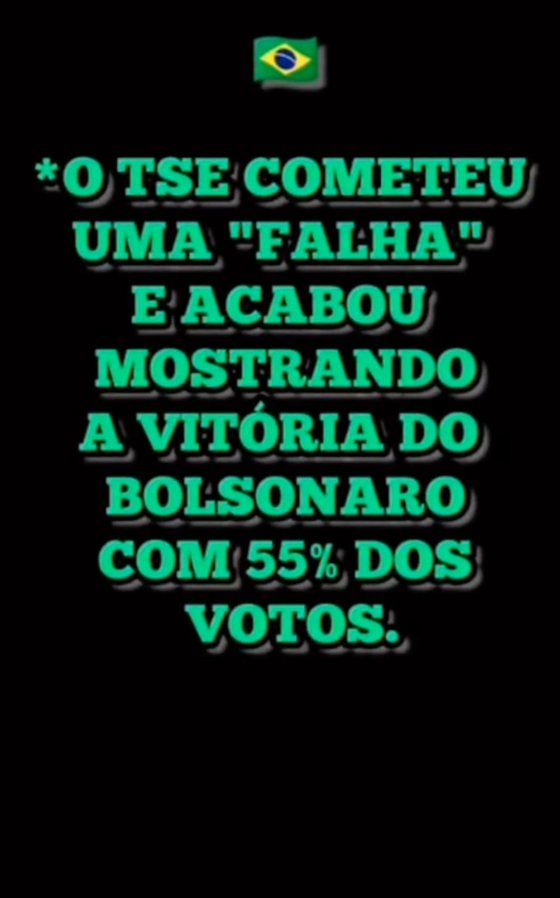 Bolsonaro põe em xeque eleições brasileiras: no meu entender, houve fraude