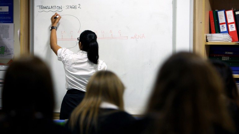 Professores: como manter a disciplina em sala de aula?