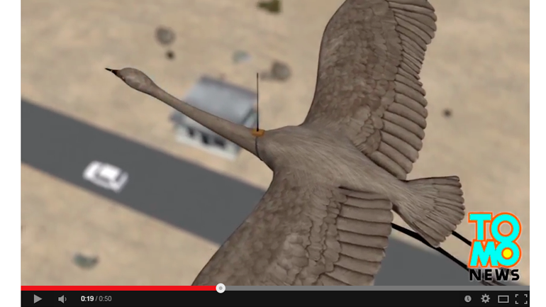Captura de ecrã do vídeo com a simulação do pássaro abatido pela polícia afegã