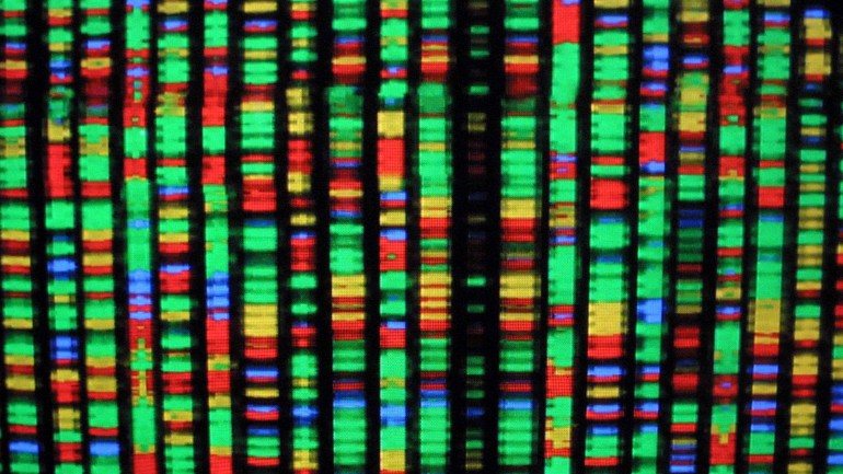 Estudar o ADN para investigar o cancro e produzir medicamentos mais eficazes