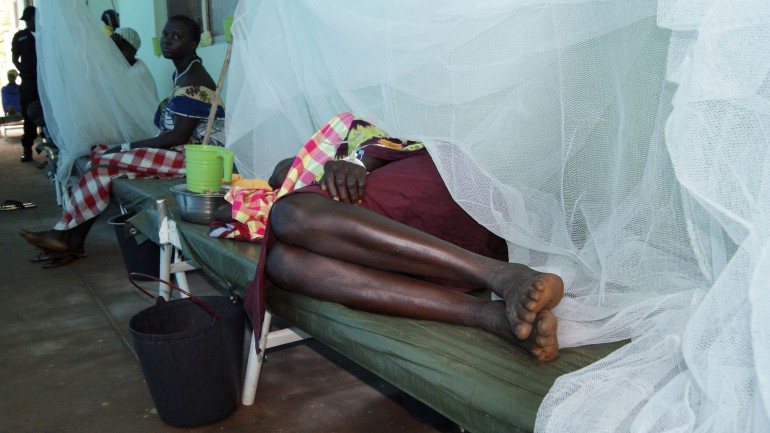 Surto de cólera parece estacionário em Niassa e Nampula mas &quot;na província de Tete os casos aumentam rapidamente&quot;