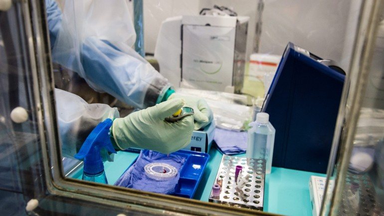 Duas vacinas contra o ébola passaram os ensaios pré-clínicos