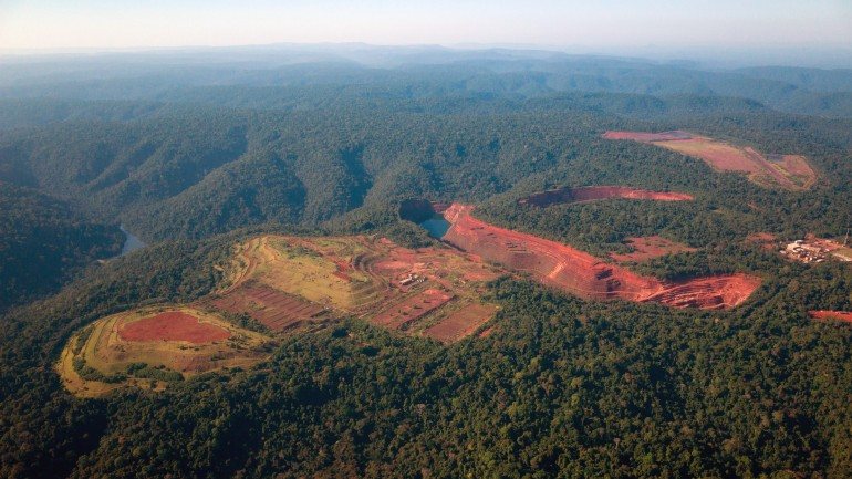 Grandes porções de floresta tropical têm sido destruídas para abrir espaço à agricultura intensiva