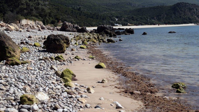 Segundo um especialista, a erosão da costa está a crescer a um nível preocupante