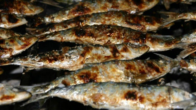 No ano passado, por altura dos Santos Populares, houve sardinhas a 10 euros o quilo na lota