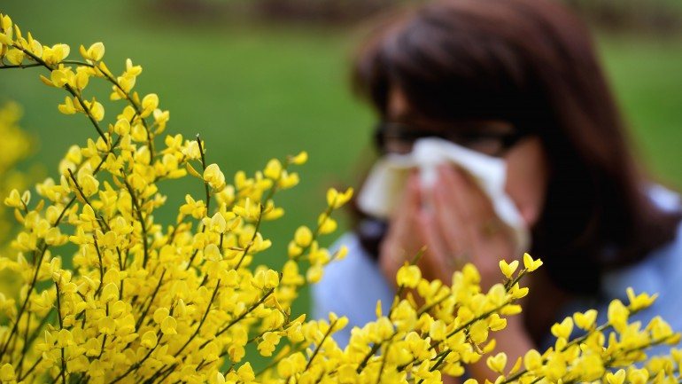 Cuidado com as alergias. Os pólenes vão estar em níveis muito elevados entre dia 8 de maio e o dia 14 de maio
