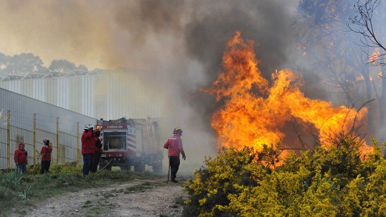 A Autoridade Nacional de Proteção Civil (ANPC) registou na quarta-feira 92 incêndios, que foram combatidos por 1.225 operacionais, com o apoio de 356 veículos