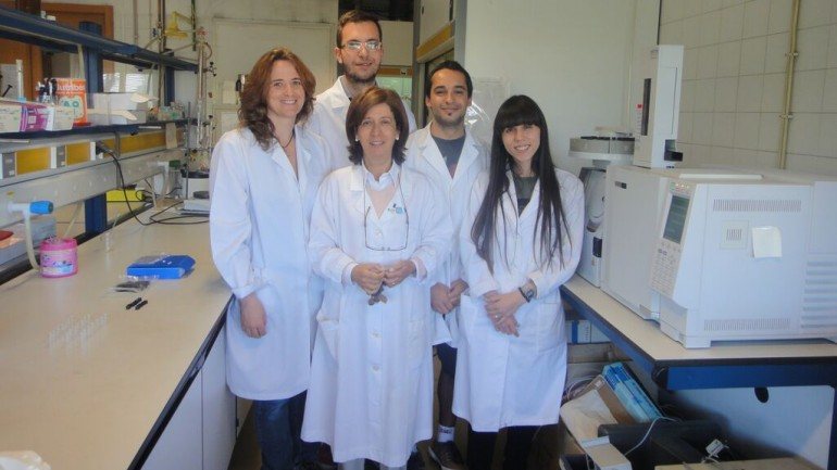 A equipa de investigadores da Faculdade de Ciências da Universidade de Lisboa foi liderada por Helena Gaspar