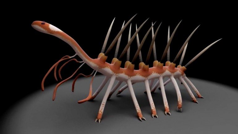 Este verme pode ajudar os cientistas a desvendar um pouco mais sobre a evolução dos animais