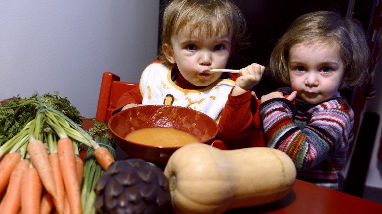 Alimentação vegetariana para crianças e adolescentes, o que você precisa  saber