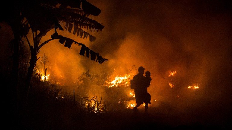 Muitos dos incêndios destinam-se a abrir novas áreas para a exploração agrícola