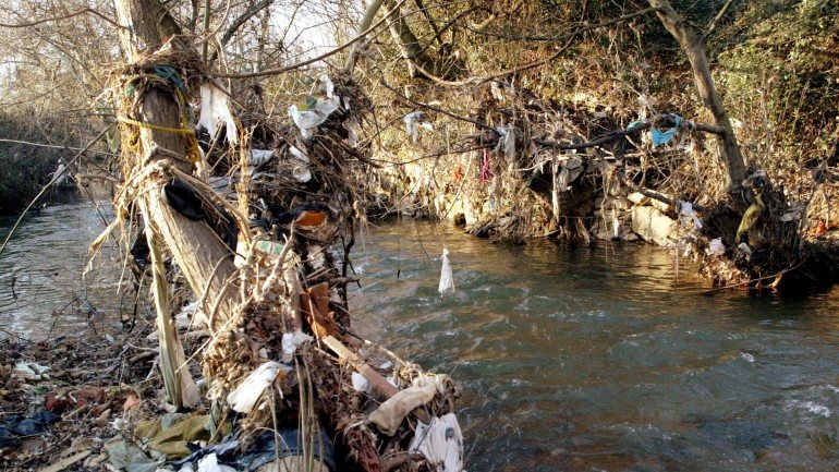 A poluição dos rios provoca a diminuição da biodiversidade afetando toda a cadeia alimentar