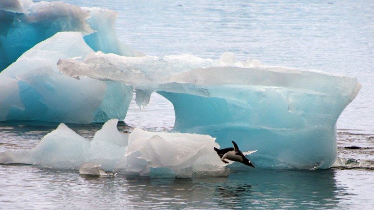 &quot;A Antártida não está, atualmente, a contribuir para a subida dos níveis do mar&quot;.