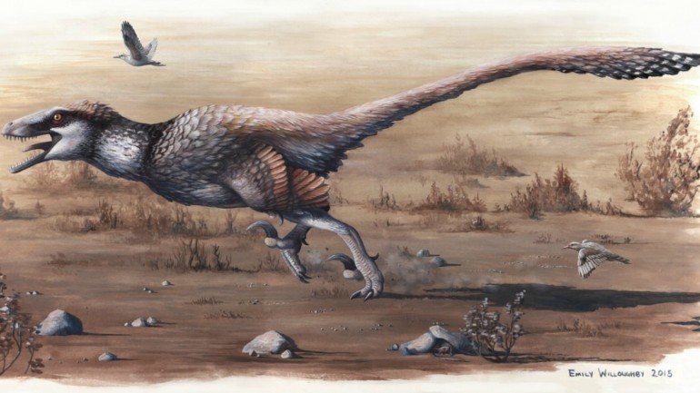Os fósseis do Dakotaraptor steini foram encontrados no Dakota do Sul na Formação de Hell Creek, uma zona com grande abundância de fósseis de dinossauros.