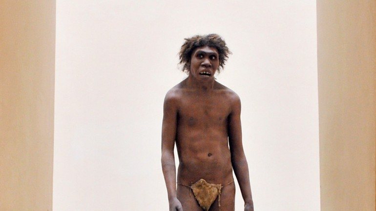 O homem de Neandertal (representado na imagem) e os homens modernos tiveram descendência juntos