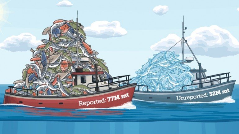 30% das pescas ficaram por registar em 2010