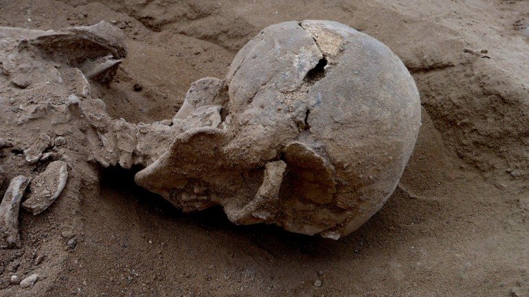 A maioria dos cadáveres encontrados mostram feridas letais no crânio, provocadas por flechas ou outras armas.