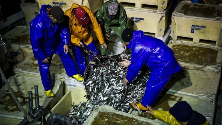 As organizações de pesca vão esperar até 2 de maio para começar a pescar sardinha