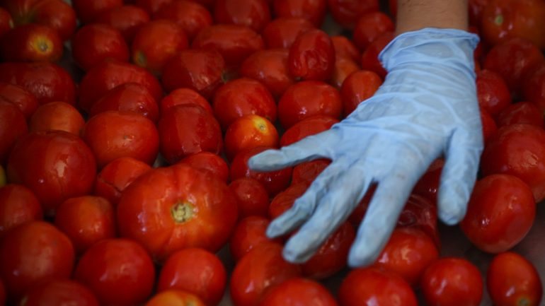 No que respeita aos legumes, o tomate é a principal produção na média da UE (35 quilos por habitante)