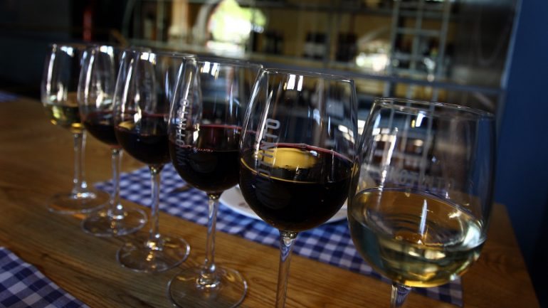 Os vinhos do Alentejo juntam 1.900 produtores de uvas e 235 empresas que comercializam vinhos com a garantia de origem e qualidade atestada
