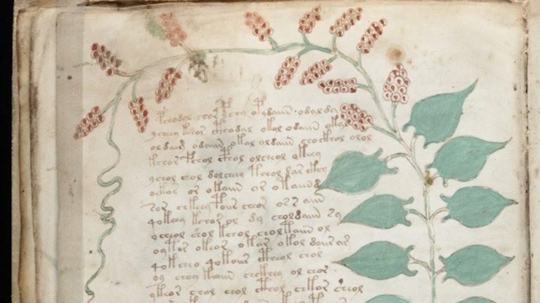 Um pormenor de uma página do manuscrito Voynich
