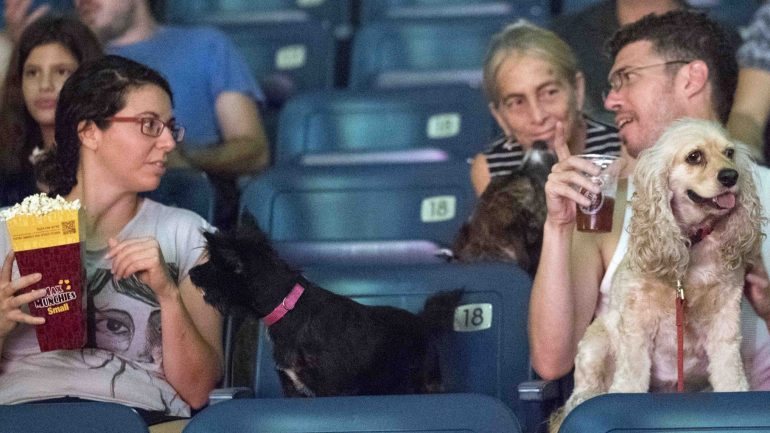Os cães israelitas também tiveram direito a acompanhar os donos ao cinema no dia da estreia do filme &quot;The Secret Life of Pets&quot; (2016)