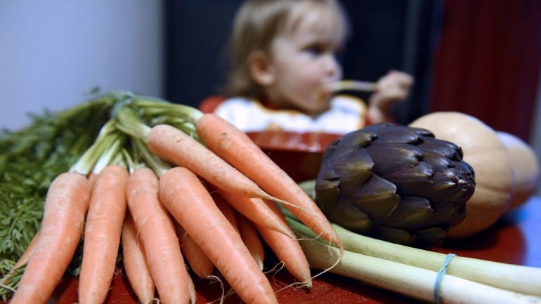 Deputada italiana quer que pais que imponham dieta vegan aos filhos sejam condenados a pena de prisão