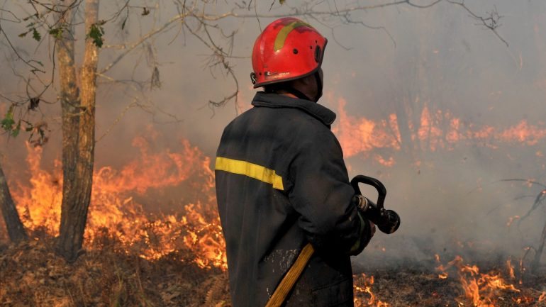 Dados do Sistema Europeu de Informação sobre Fogos Florestais indicam que os fogos provocaram, este ano, uma área ardida superior a 160 mil hectares